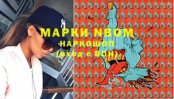 прущие грибы Бугульма