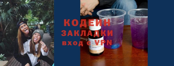 шишки Богородицк