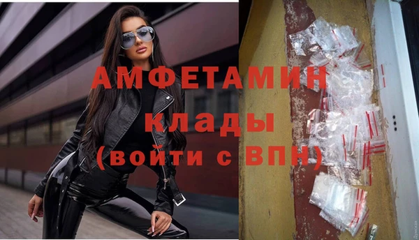 прущие грибы Бугульма