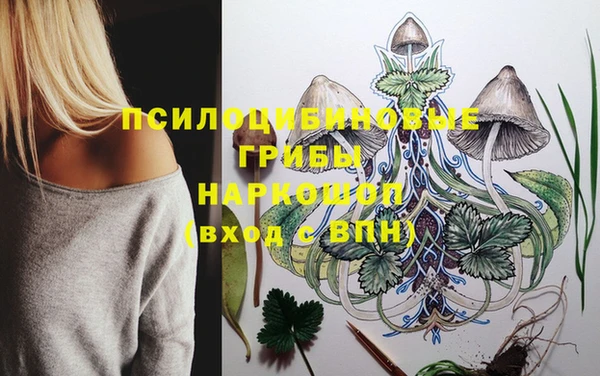 прущие грибы Бугульма